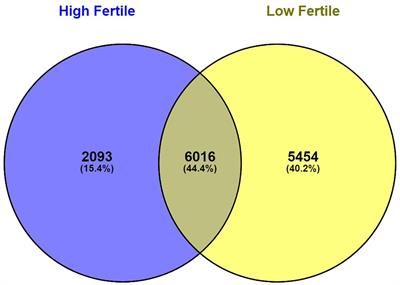 Comparative Transcriptomic Analysis of Spermatozoa From High- and Low-Fertile Crossbred Bulls: Implications for Fertility Prediction